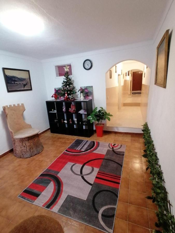 Cantinho Da Familia Avis Kültér fotó