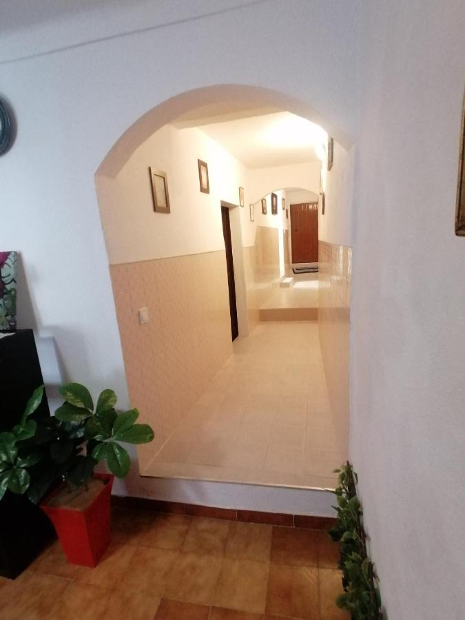 Cantinho Da Familia Avis Kültér fotó